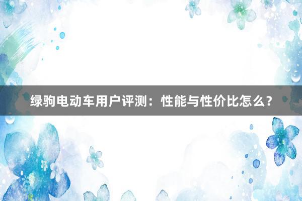 绿驹电动车用户评测：性能与性价比怎么？